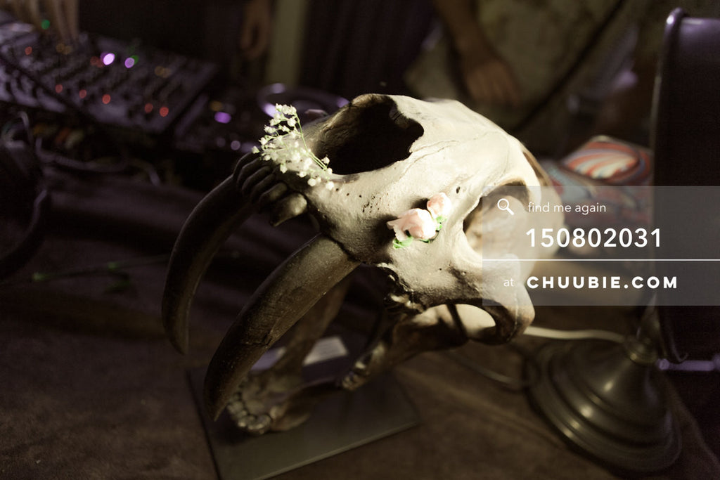 150802031 | Animal skull with flowers still life in historic LES house.
—Team Fun BBQ hosted by Sublimate &am... | Team Chuubie